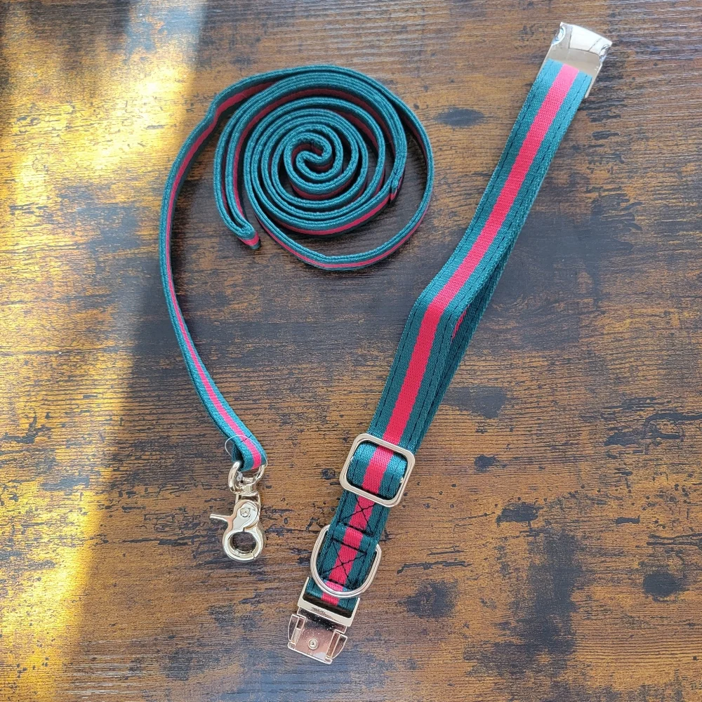 Last One! 2pcs Dog collar & leash Set